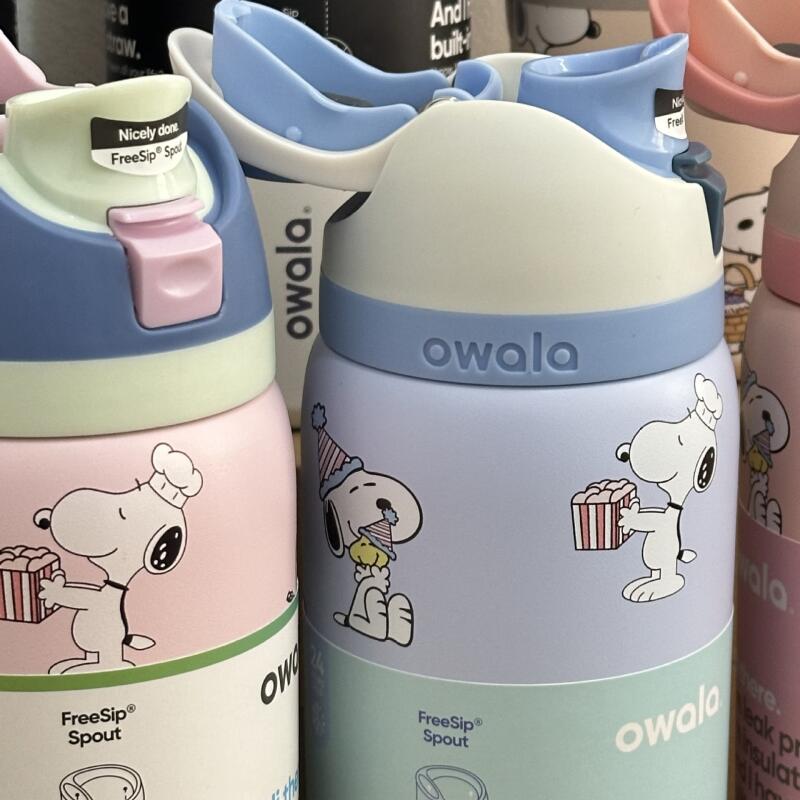 Snoopy Insulated Water Bottle  - مراجعة Commercial Kitchen Kettle وسعره